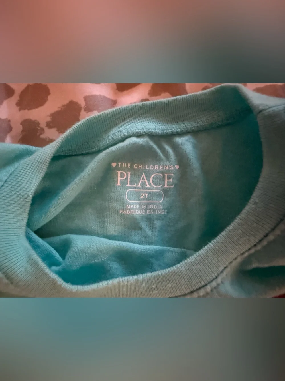 The Children’s Place Kids Long-Sleeve Panda Rainbow Tee